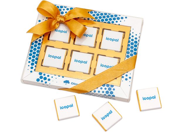 6 belgijskich na wyprasce